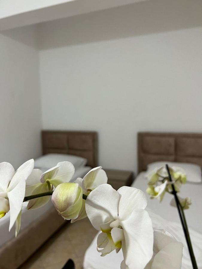 סרנדה Alex Apartments מראה חיצוני תמונה