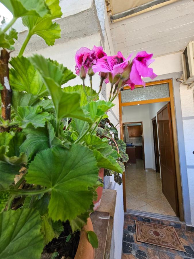 סרנדה Alex Apartments מראה חיצוני תמונה