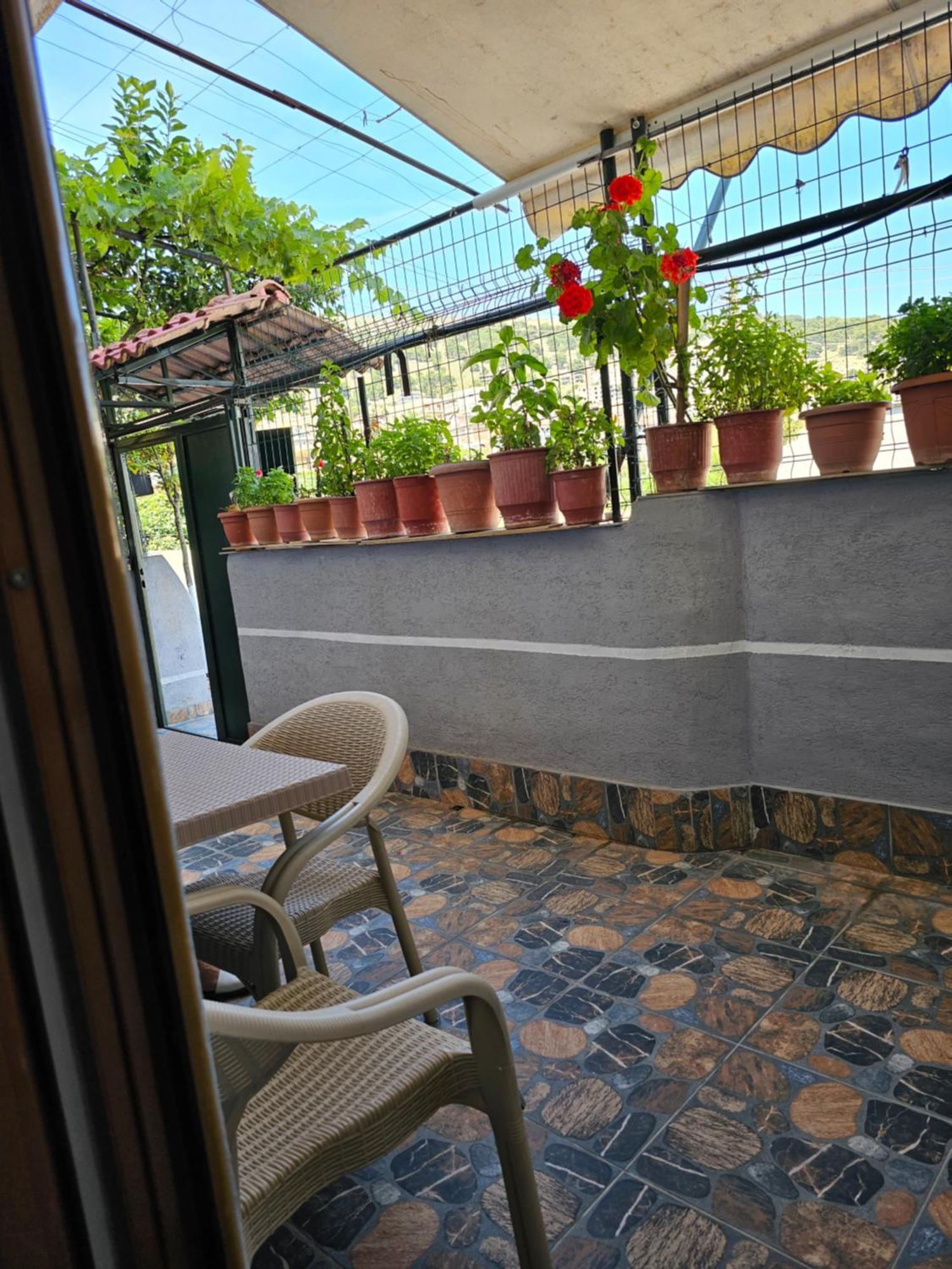 סרנדה Alex Apartments מראה חיצוני תמונה